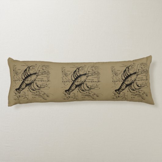 Kankerconstellatie door Hevelius circa 1690 Lichaamskussen (Achterkant)