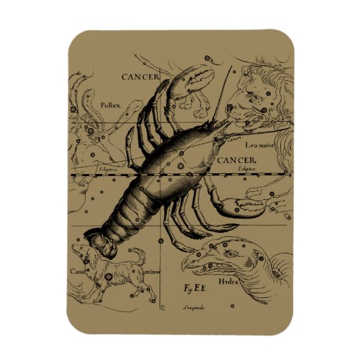 Kankerconstellatie door Hevelius circa 1690 Magneet (Verticaal)