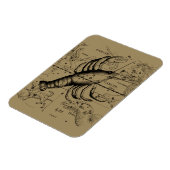 Kankerconstellatie door Hevelius circa 1690 Magneet (Linkerzijde)