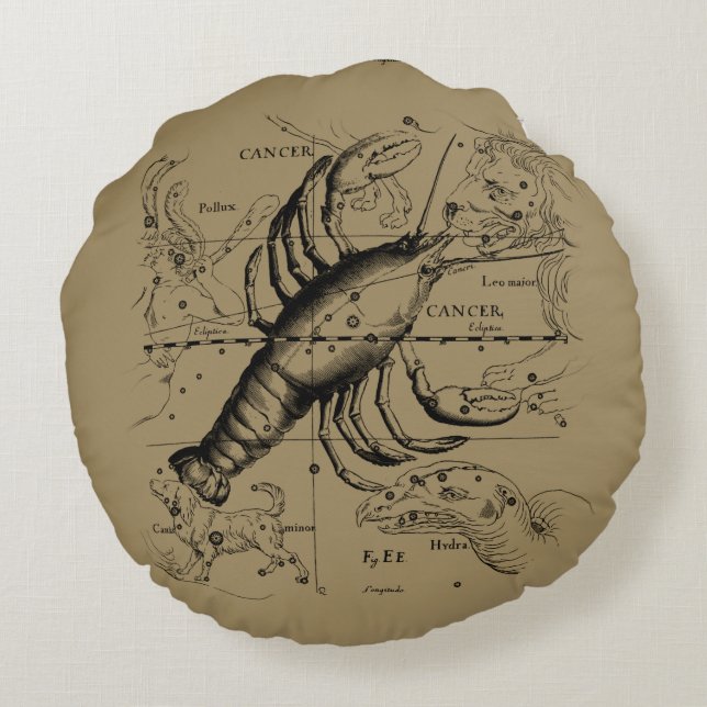 Kankerconstellatie door Hevelius circa 1690 Rond Kussen (Achterkant)