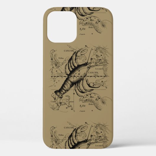 kankerconstellatiekaart Hevelius 1690 Case-Mate iPhone Case (Achterkant)
