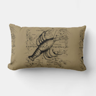 kankerconstellatiekaart Hevelius 1690 Kussen