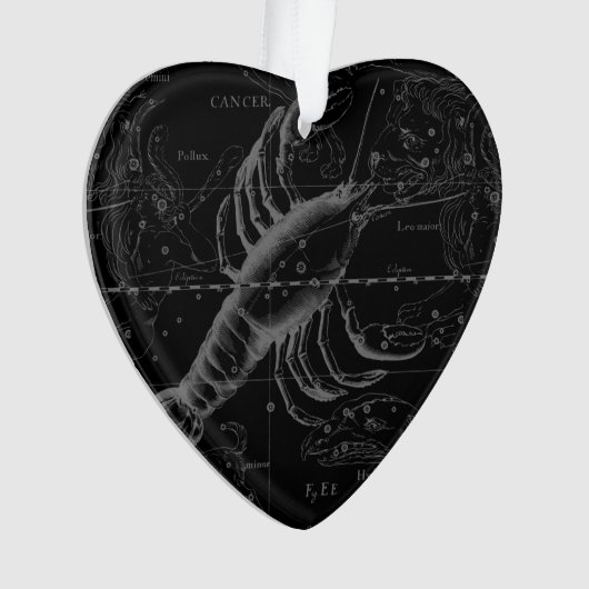  kankerconstellatiekaart Hevelius 1690 Ornament (voorkant)