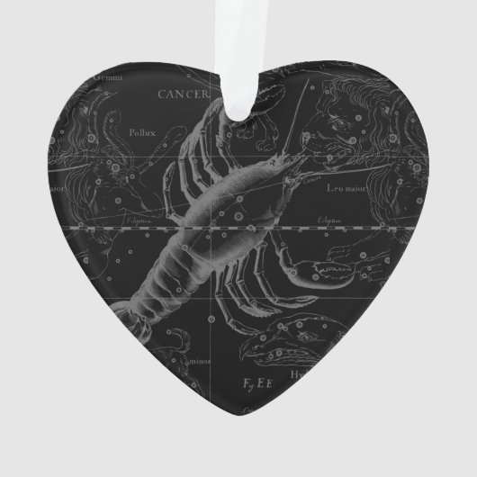  kankerconstellatiekaart Hevelius 1690 Ornament (achterkant)