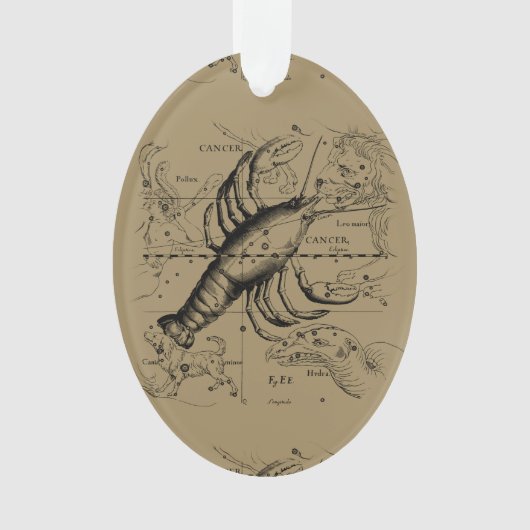  kankerconstellatiekaart Hevelius 1690 Ornament (voorkant)