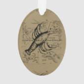  kankerconstellatiekaart Hevelius 1690 Ornament (achterkant)