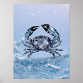 Kankerdierenteken Poster (Voorkant)