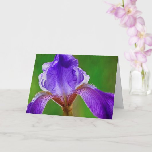 Kankerhoop en support voor Iris Kaart (Orchidee)