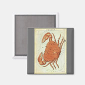 Kankerkrab  Constellatie, Urania's Mirror Magneet (Voorkant / Achterkant)