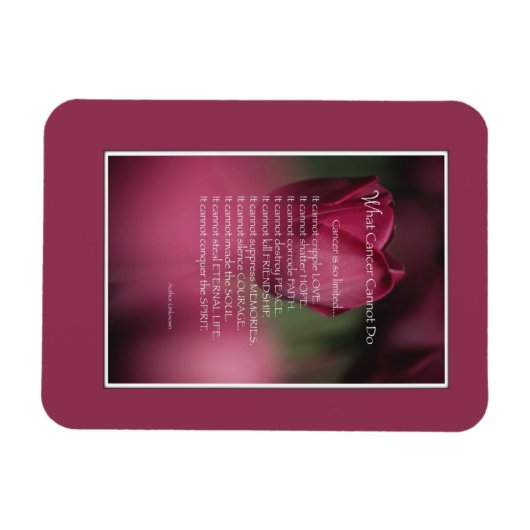 Kankerondersteuning, wat kanker niet kan doen, blo magneet (Horizontaal)