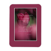 Kankerondersteuning, wat kanker niet kan doen, blo magneet (Verticaal)