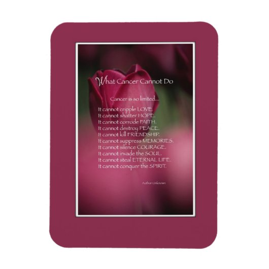 Kankerondersteuning, wat kanker niet kan doen, blo magneet (Verticaal)