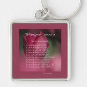 Kankerondersteuning, wat kanker niet kan doen, blo sleutelhanger (Voorkant)