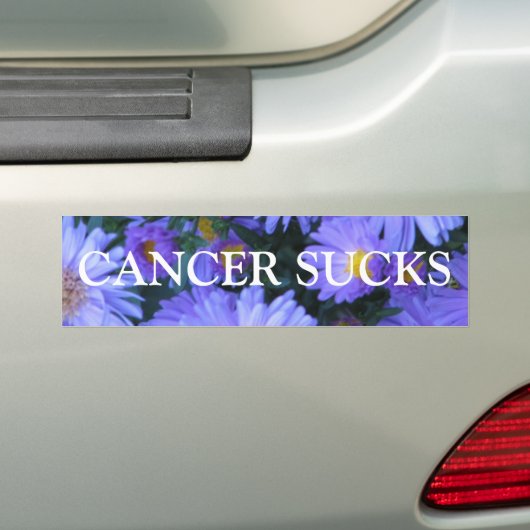 KANKERSUCKS BUMPERSTICKER (Op auto)