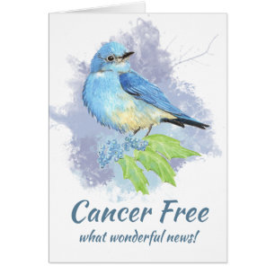 Kankervrij Congrats Eastern Mountain Bluebird