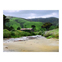 Kannibale baai: Caitlins: Nieuw-Zeelands Poster