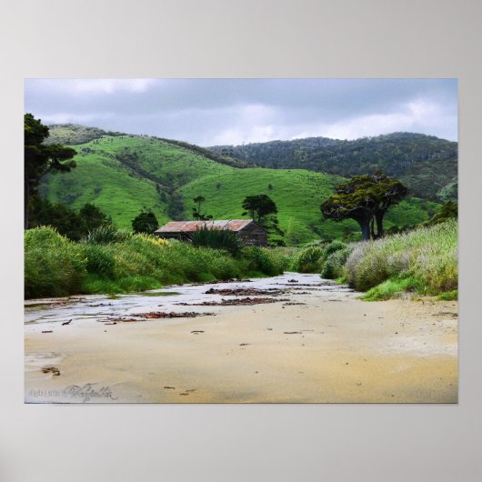 Kannibale baai: Caitlins: Nieuw-Zeelands Poster (Voorkant)