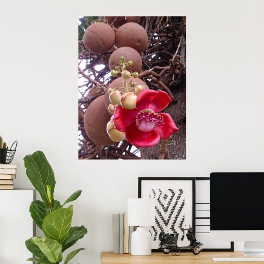 Kannonbalboom Poster (Thuiskantoor)