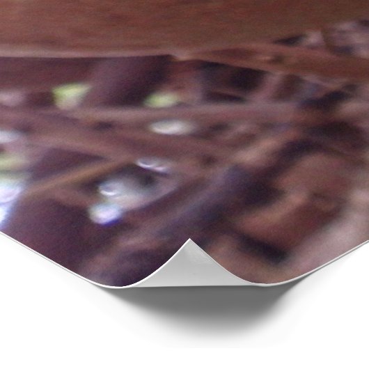 Kannonbalboom Poster (Hoek)