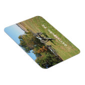 Kannonenrij op het slagveld Gettysburg Magneet (Rechterzijde)