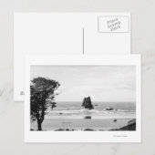 Kannonstrand, oregon scène met naalden briefkaart (Voorkant / Achterkant)