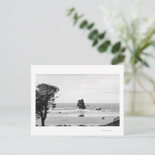 Kannonstrand, oregon scène met naalden briefkaart (Staand voorkant)