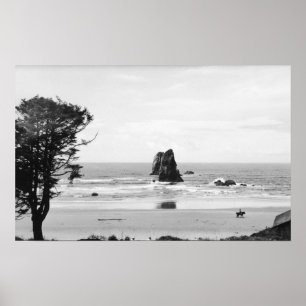 Kannonstrand, oregon scène met naalden poster