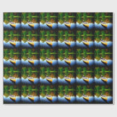 kano - schoonheidsvrede en vreugde cadeaupapier (Vlak)