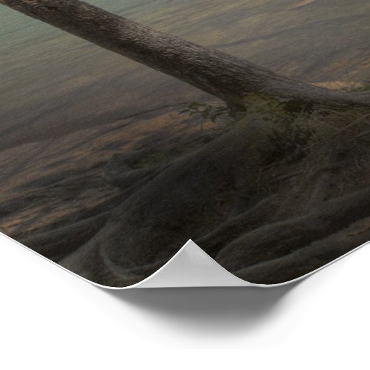 Kanoezing op het meer poster (Hoek)