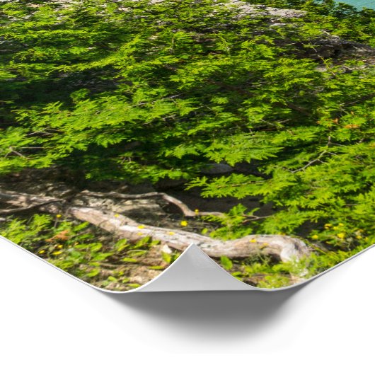 Kanoing op Arch Rock Poster (Hoek)