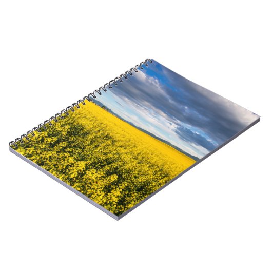 Kanola in het licht van de late avond notitieboek (Linkerzijde)