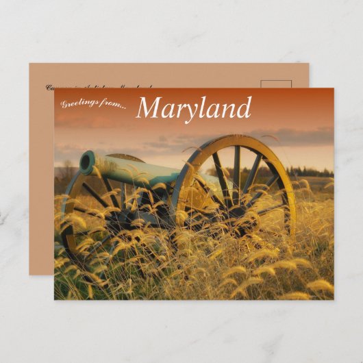 Kanon bij Antietam Maryland Briefkaart (Voorkant / Achterkant)