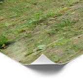 Kanon, Perfect Poster (Hoek)