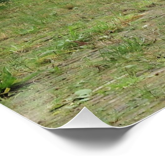 Kanon, Perfect Poster (Hoek)