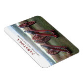 Kanonnen, Bernis Heights Slag bij Saratoga Magneet (Rechterzijde)