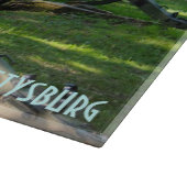 Kanonnen van het nationaal militair park Gettysbur Snijplank (Hoek)