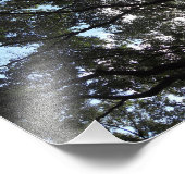 Kanopie Foto Afdruk (Hoek)