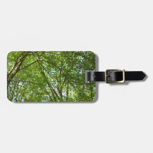 Kanopie van de groene Natuur van voorjaarsbladeren Bagagelabel (Voorkant horizontaal)