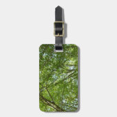 Kanopie van de groene Natuur van voorjaarsbladeren Bagagelabel (Voorkant verticaal)