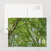 Kanopie van de groene Natuur van voorjaarsbladeren Briefkaart (Voorkant / Achterkant)
