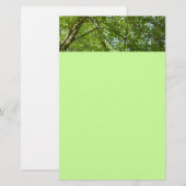 Kanopie van de groene Natuur van voorjaarsbladeren Briefpapier (Voorkant / Achterkant)