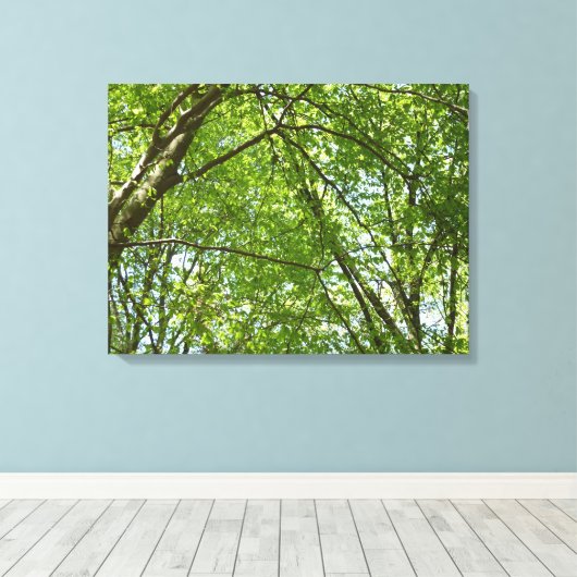 Kanopie van de groene Natuur van voorjaarsbladeren Canvas Afdruk (Insitu (Houten vloer))
