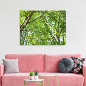 Kanopie van de groene Natuur van voorjaarsbladeren Canvas Afdruk (Insitu (Woonkamer))