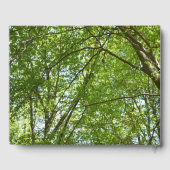 Kanopie van de groene Natuur van voorjaarsbladeren Gastenboek (Achterkant)