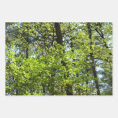 Kanopie van de groene Natuur van voorjaarsbladeren Inpakpapier Vel (Voorkant 2)