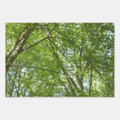 Kanopie van de groene Natuur van voorjaarsbladeren Inpakpapier Vel (Voorkant)