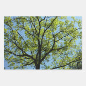 Kanopie van de groene Natuur van voorjaarsbladeren Inpakpapier Vel (Voorkant 3)