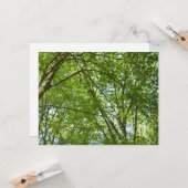 Kanopie van de groene Natuur van voorjaarsbladeren Kaart (Voorkant / Achterkant in situ)