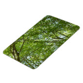 Kanopie van de groene Natuur van voorjaarsbladeren Magneet (Linkerzijde)