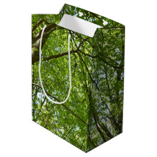 Kanopie van de groene Natuur van voorjaarsbladeren Medium Cadeauzakje